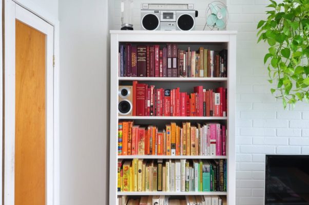 Color Blocked Bookshelves