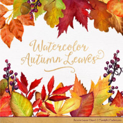 Leaves & Branches Clipart In Natural